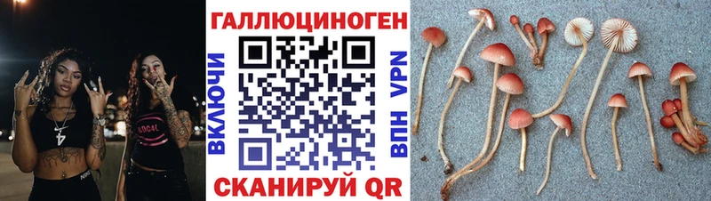 Галлюциногенные грибы MAGIC MUSHROOMS  blacksprut как зайти  даркнет формула  Каневская 